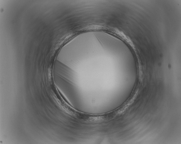 X0000075810057200610151440