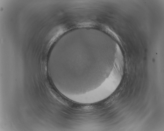 X0000075810059200610151440