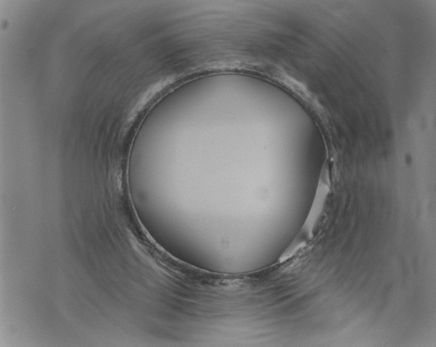 X0000075810060200610151440