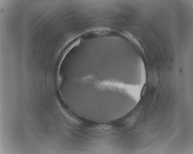 X0000075810063200610151440