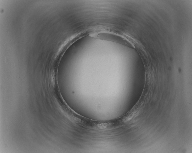 X0000075810064200610151440