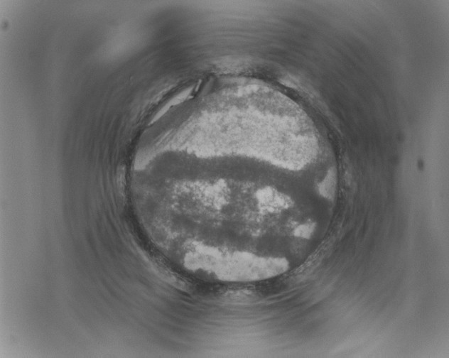 X0000075810066200610151440