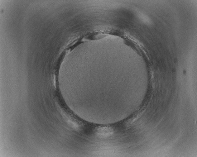 X0000075810067200610151440