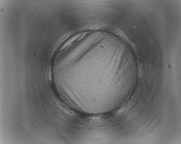 X0000075810068200610151440