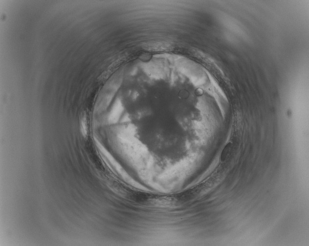 X0000075810069200610151440