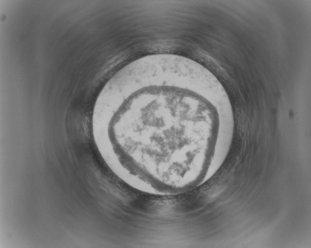 X0000075810071200610151440