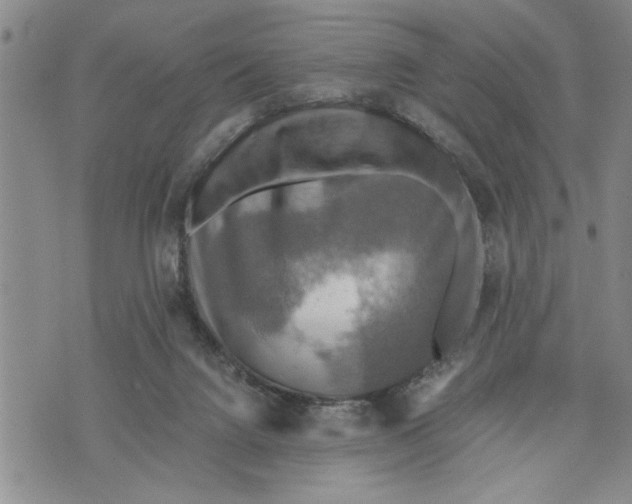 X0000075810072200610151440