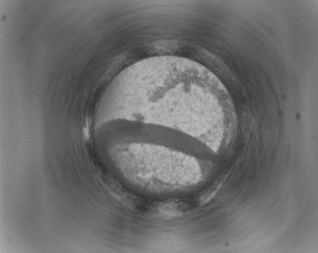 X0000075810075200610151440