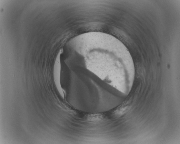 X0000075810077200610151440