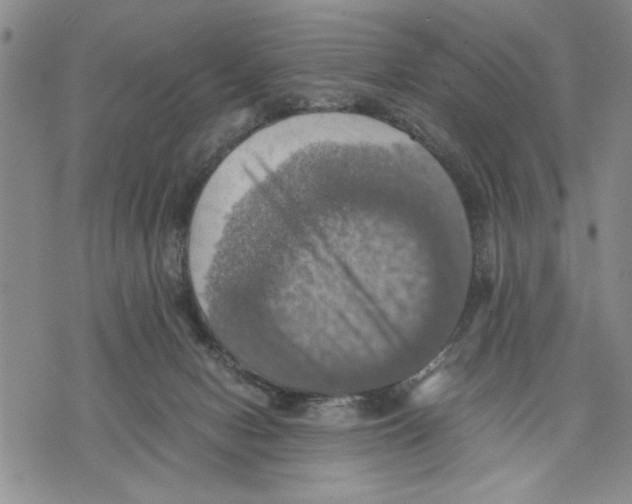 X0000075810078200610151440