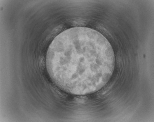 X0000075810079200610151440