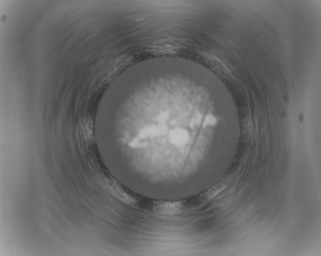 X0000075810081200610151440