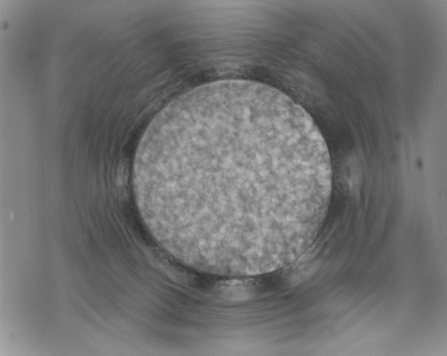 X0000075810082200610151440