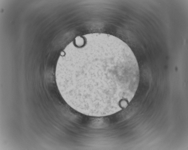 X0000075810083200610151440