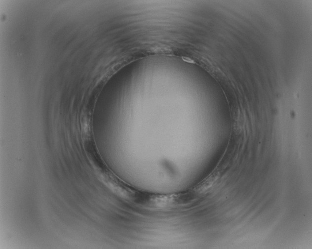 X0000075810084200610151440