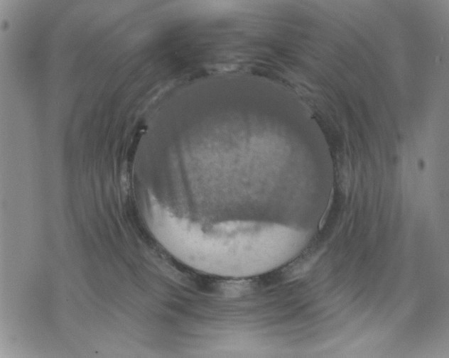 X0000075810085200610151440