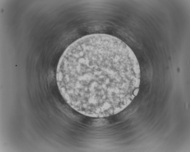 X0000075810087200610151440