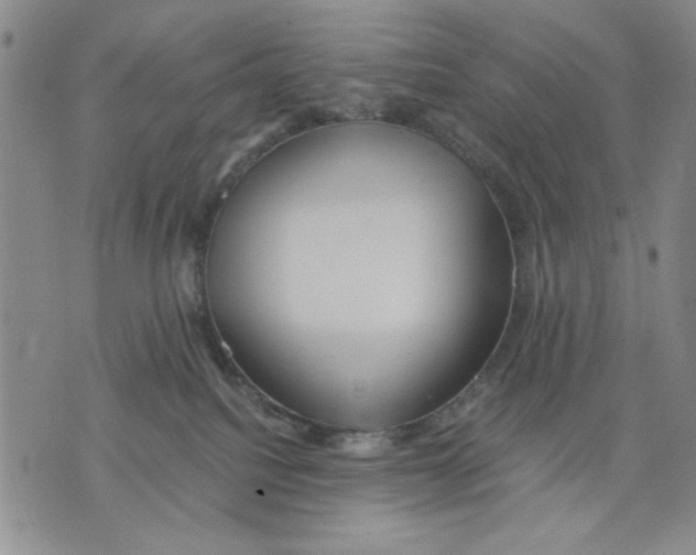 X0000075810088200610151440