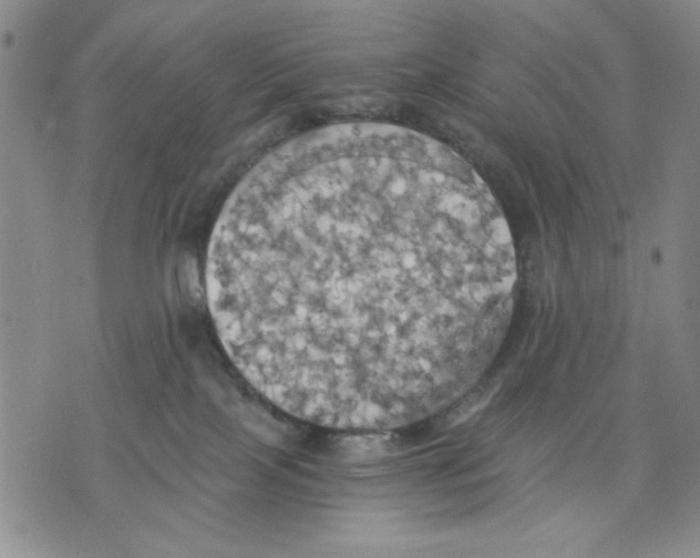 X0000075810089200610151440