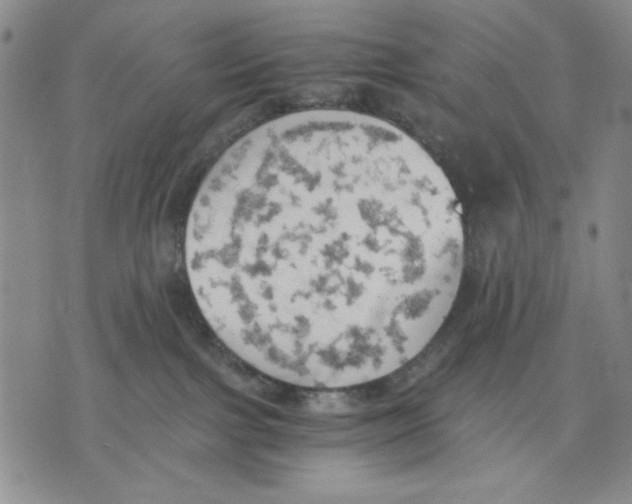 X0000075810091200610151441