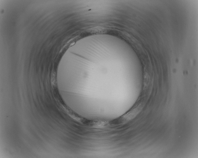 X0000075810096200610151441