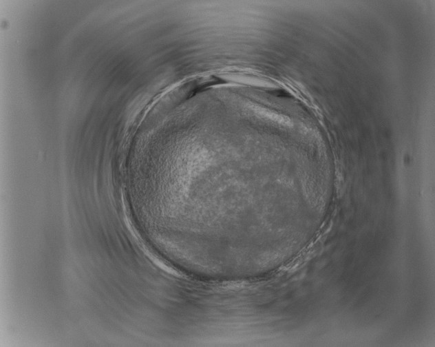 X0000075810097200610151440