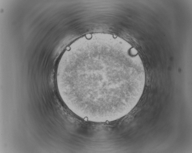 X0000075810098200610151440