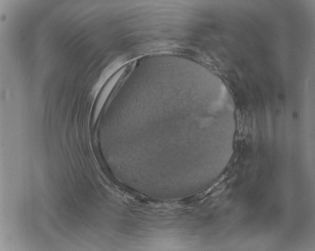 X0000075810099200610151440