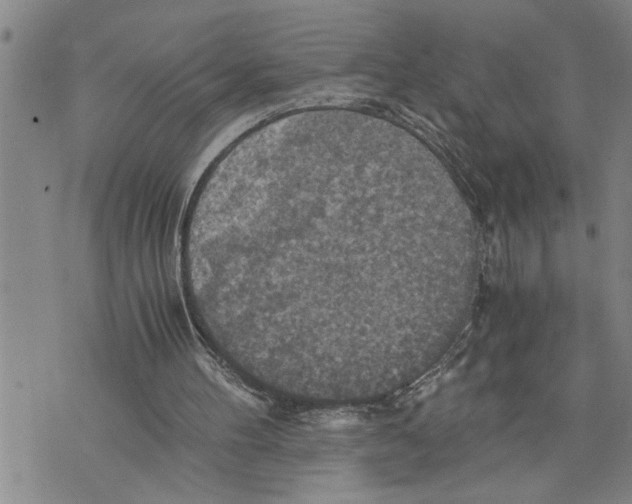 X0000075810100200610151440