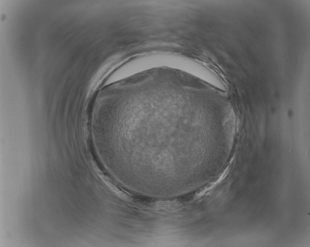 X0000075810101200610151440