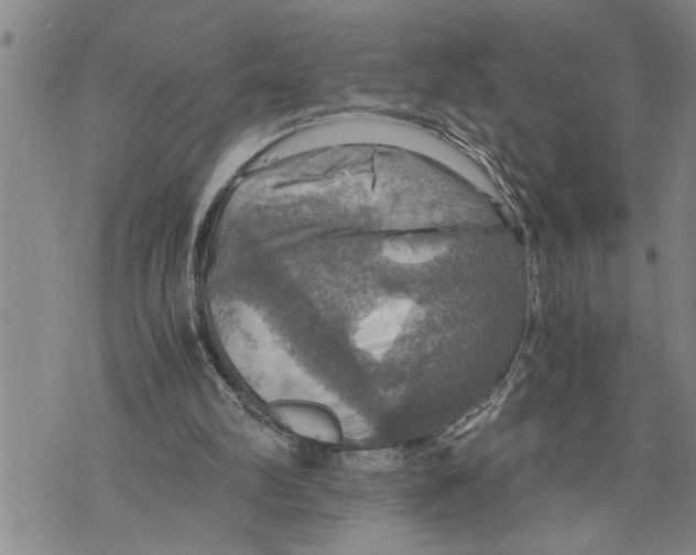 X0000075810102200610151440