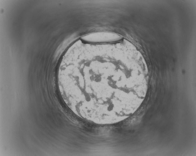 X0000075810103200610151440