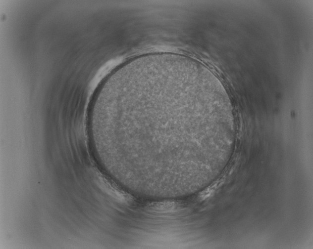 X0000075810104200610151440