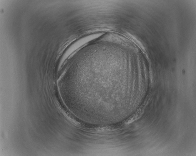 X0000075810105200610151440