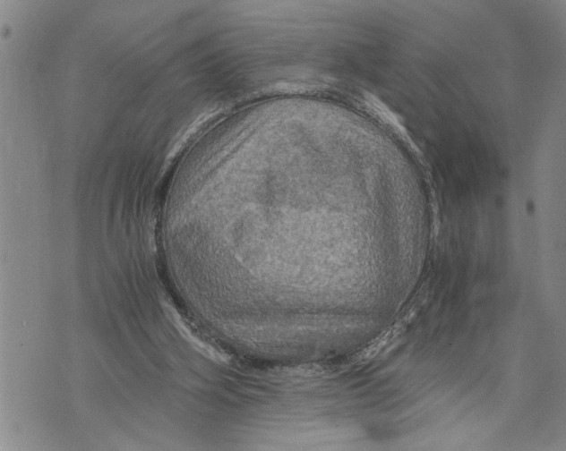 X0000075810106200610151440