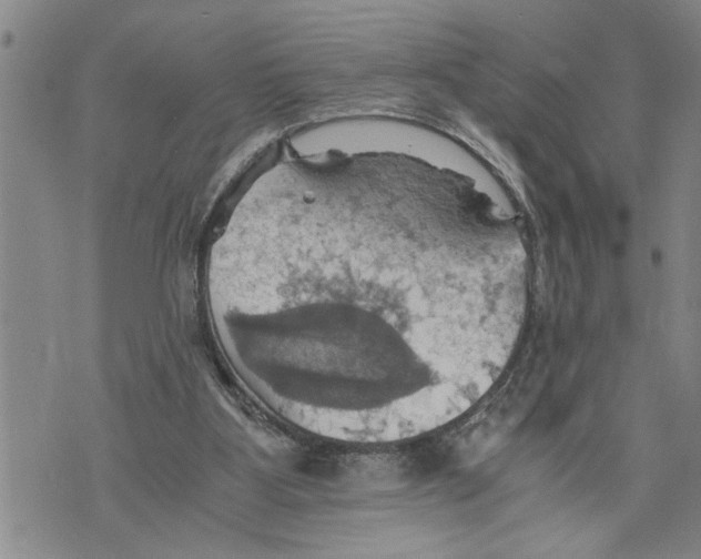 X0000075810107200610151440