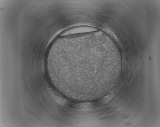 X0000075810108200610151440