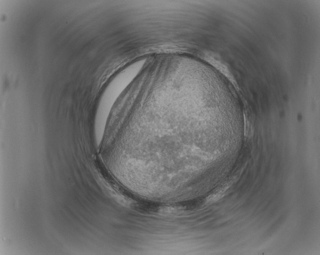 X0000075810109200610151440