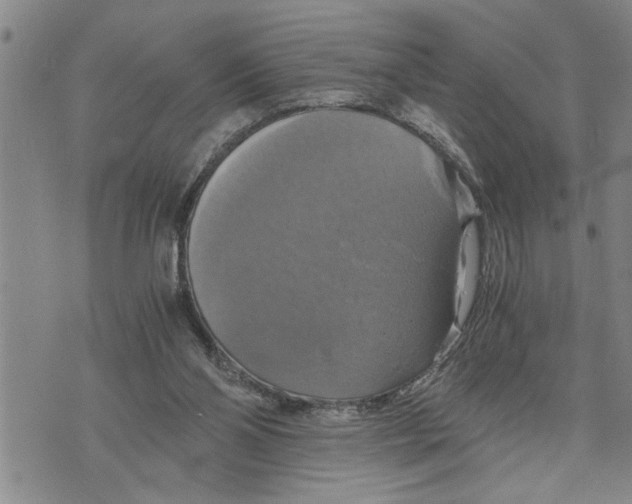 X0000075810110200610151440