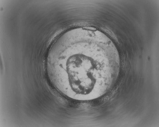 X0000075810111200610151440