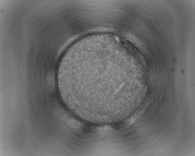 X0000075810112200610151440