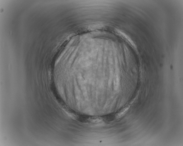 X0000075810113200610151440