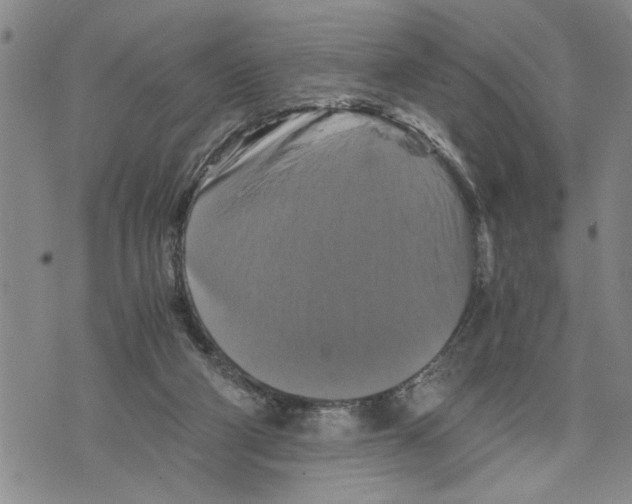 X0000075810114200610151440