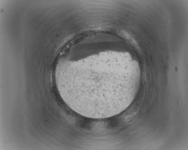 X0000075810115200610151440