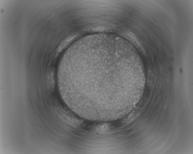 X0000075810116200610151439