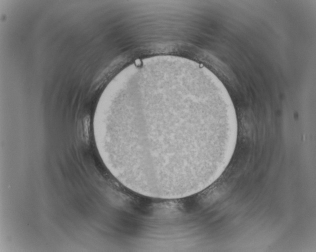 X0000075810118200610151439