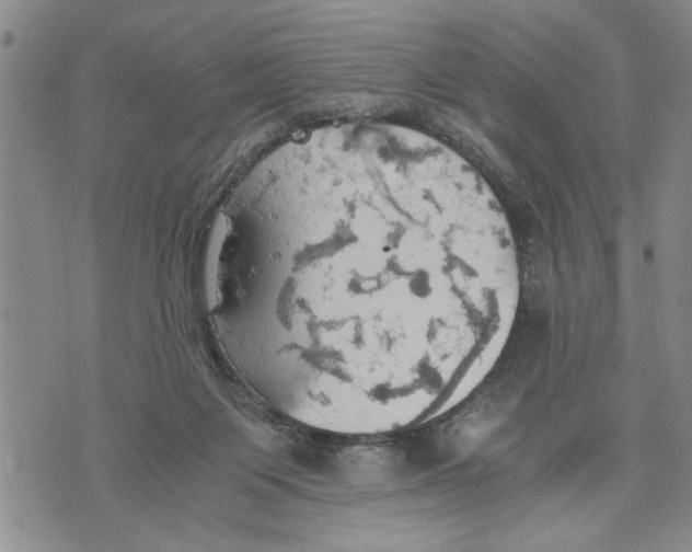 X0000075810119200610151439