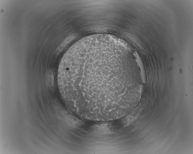 X0000075810120200610151439