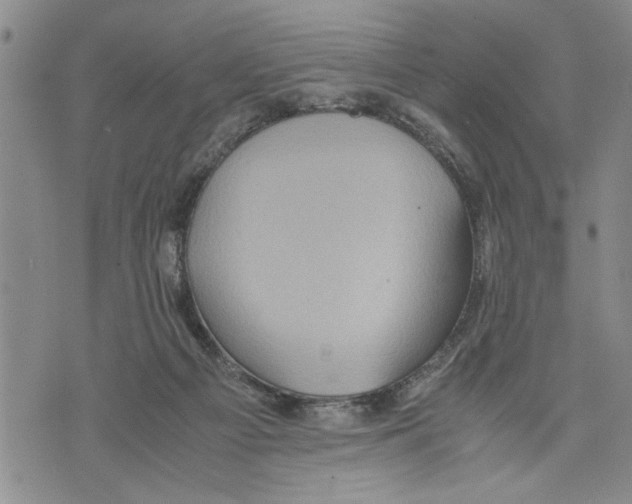 X0000075810121200610151439