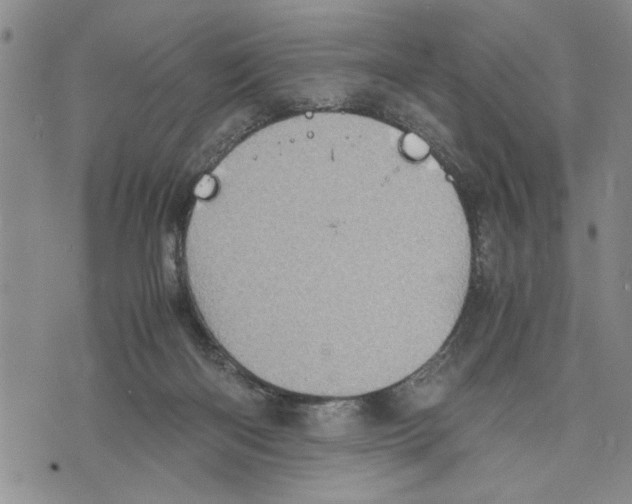 X0000075810122200610151439